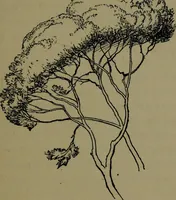 An illustration from The elements of drawing in three letters to beginners (1898)