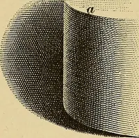 Picture 31 of 64 from Elements of lettering ... A treatise on the history, classification, and practical application of the various styles of letters of the alphabet (1899), leaf 56