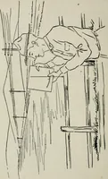 An illustration from Elements of military sketching and map reading (1917)