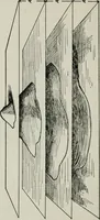 An illustration from Elements of military sketching and map reading (1917)