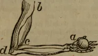 An illustration from The elements of natural and experimental philosophy .. (1834)