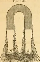 Picture 63 of 181 from The elements of natural philosophy : copiously illustrated by familiar experiments and containing descriptions of instruments, with directions for using : designed for the use of schools and academies (1856), leaf 160