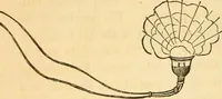 Picture 109 of 181 from The elements of natural philosophy : copiously illustrated by familiar experiments and containing descriptions of instruments, with directions for using : designed for the use of schools and academies (1856), leaf 240