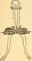 Picture 111 of 181 from The elements of natural philosophy : copiously illustrated by familiar experiments and containing descriptions of instruments, with directions for using : designed for the use of schools and academies (1856), leaf 242