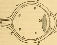 Picture 161 of 181 from The elements of natural philosophy : copiously illustrated by familiar experiments and containing descriptions of instruments, with directions for using : designed for the use of schools and academies (1856), leaf 321