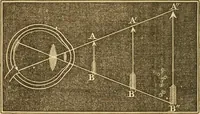 Picture 162 of 181 from The elements of natural philosophy : copiously illustrated by familiar experiments and containing descriptions of instruments, with directions for using : designed for the use of schools and academies (1856), leaf 324