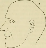 Picture 29 of 45 from Elements of phrenology (1850), leaf 100