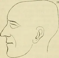 Picture 30 of 45 from Elements of phrenology (1850), leaf 100