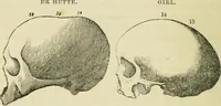 Picture 35 of 45 from Elements of phrenology (1850), leaf 110