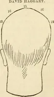 Picture 36 of 45 from Elements of phrenology (1850), leaf 113