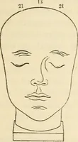 Picture 40 of 45 from Elements of phrenology (1850), leaf 125