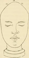 Picture 41 of 45 from Elements of phrenology (1850), leaf 125