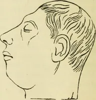 Picture 43 of 45 from Elements of phrenology (1850), leaf 188