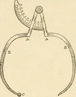 Picture 45 of 45 from Elements of phrenology (1850), leaf 231