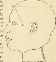 An illustration from Elements of phrenology (1850)