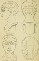 Picture 1 of 45 from Elements of phrenology (1850), leaf 6