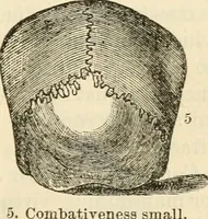 Picture 22 of 45 from Elements of phrenology (1850), leaf 85