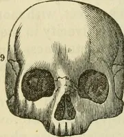 Picture 27 of 45 from Elements of phrenology (1850), leaf 96