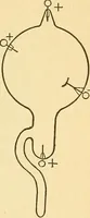 An illustration from Elements of physics (1903)