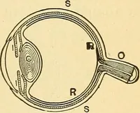 An illustration from Elements of physics (1903)