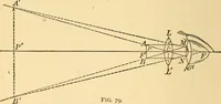 Picture 49 of 95 from Elements of physics, experimental and descriptive (1902), leaf 113