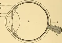 Picture 51 of 95 from Elements of physics, experimental and descriptive (1902), leaf 115