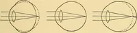 Picture 52 of 95 from Elements of physics, experimental and descriptive (1902), leaf 116