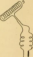 Picture 68 of 95 from Elements of physics, experimental and descriptive (1902), leaf 143
