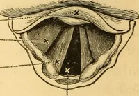 Picture 91 of 95 from Elements of physics, experimental and descriptive (1902), leaf 185