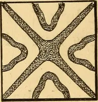 Picture 94 of 95 from Elements of physics, experimental and descriptive (1902), leaf 187
