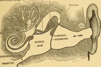 Picture 95 of 95 from Elements of physics, experimental and descriptive (1902), leaf 188