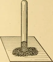 Picture 14 of 95 from Elements of physics, experimental and descriptive (1902), leaf 51