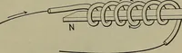 Picture 103 of 177 from Elements of physics (1900), leaf 276
