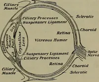 Picture 155 of 177 from Elements of physics (1900), leaf 354
