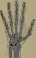 Picture 162 of 177 from Elements of physics (1900), leaf 363