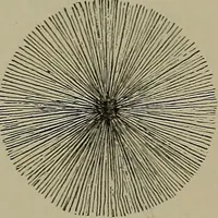 Picture 164 of 177 from Elements of physics (1900), leaf 366