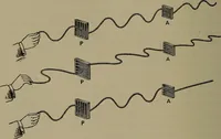Picture 165 of 177 from Elements of physics (1900), leaf 367