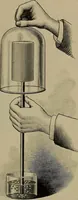 Picture 6 of 177 from Elements of physics (1900), leaf 38