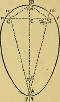 Picture 56 of 69 from Elements of plane and solid free-hand geometrical drawing, with lettering; and some elements of geometrical ornamental design, including the principals of harmonic angular ratios, etc. In three parts ... for draughtsmen and artisans; and teachers and students of industrial and mechanical drawing (1878), leaf 148
