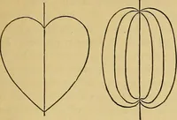 Picture 29 of 69 from Elements of plane and solid free-hand geometrical drawing, with lettering; and some elements of geometrical ornamental design, including the principals of harmonic angular ratios, etc. In three parts ... for draughtsmen and artisans; and teachers and students of industrial and mechanical drawing (1878), leaf 63