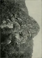 An illustration from The elements of railroad engineering (1911)