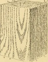 An illustration from ...Elements of woodwork (1911)