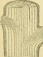 An illustration from ...Elements of woodwork (1911)