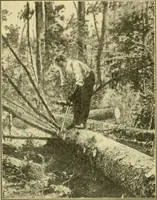 An illustration from ...Elements of woodwork (1911)
