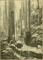 An illustration from ...Elements of woodwork (1911)