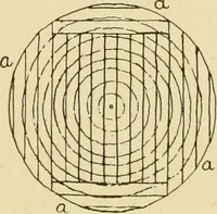 An illustration from ...Elements of woodwork (1911)