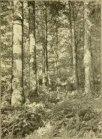 An illustration from ...Elements of woodwork (1911)