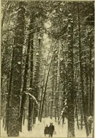 An illustration from ...Elements of woodwork (1911)