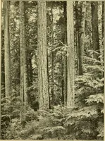 An illustration from ...Elements of woodwork (1911)