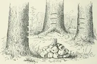 An illustration from The elements of railroad engineering (1897)